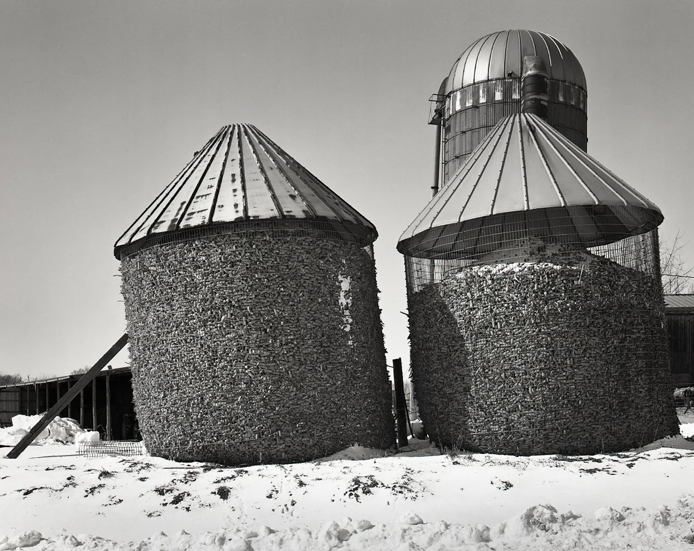 Leaning Corn Crib > Ridott, IL 2008