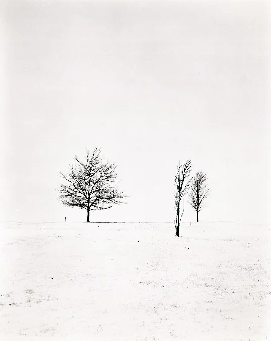 Three Trees > German Valley, IL 2002