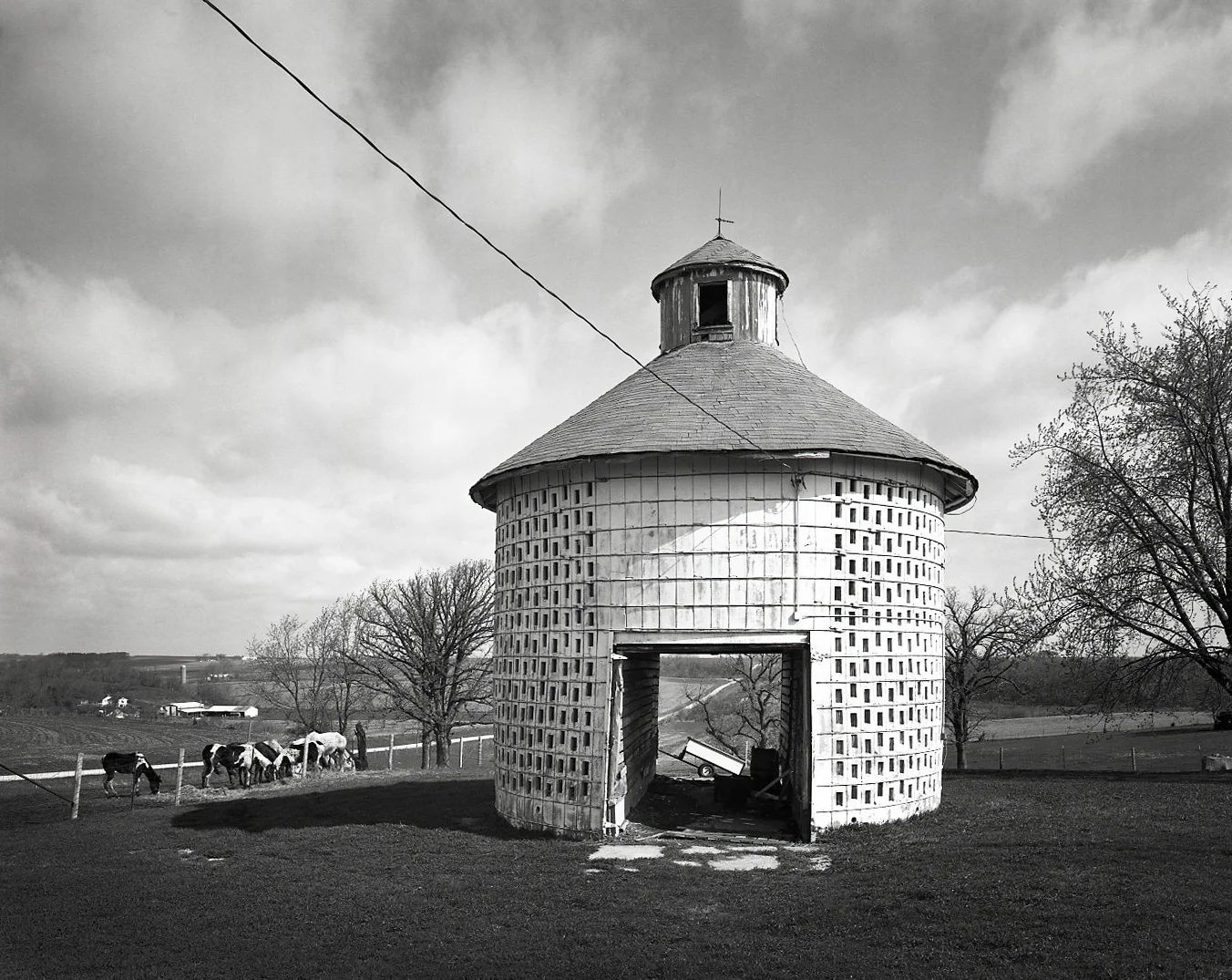 Corn Crib, Wire and Cows > Mt. Carroll, IL 2006