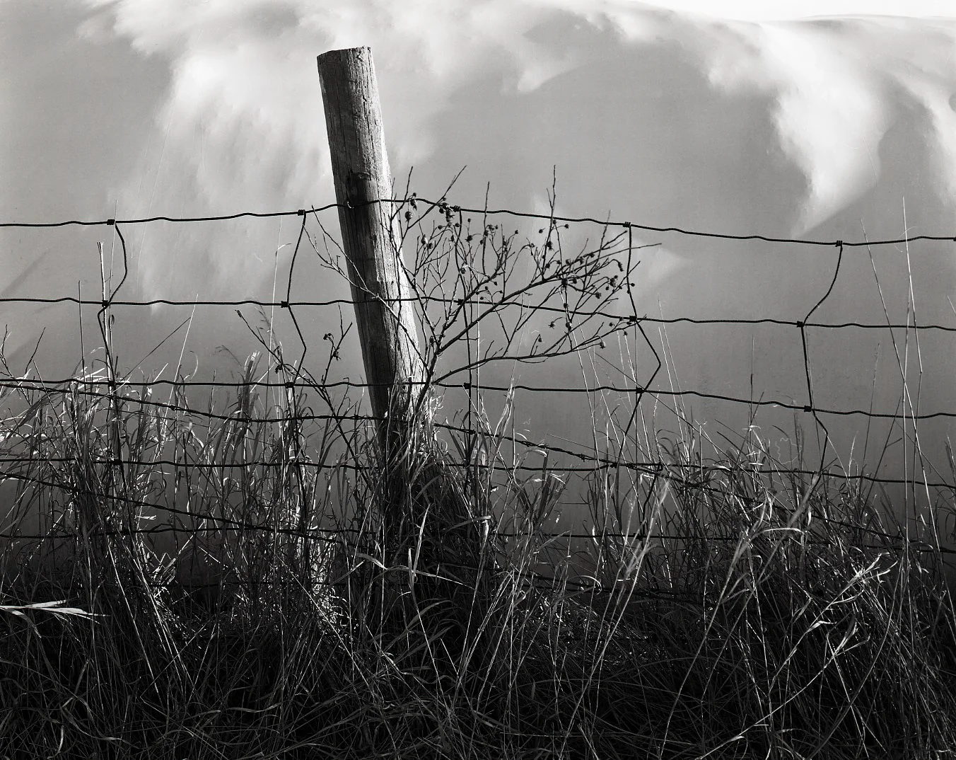 Hay Bale and Fence Post > Cherry Valley, IL 2003