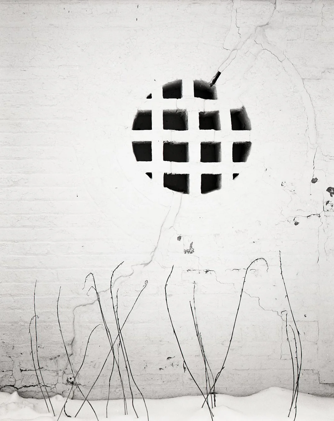 Circular Window and Weeds > Oak Park, IL 2004