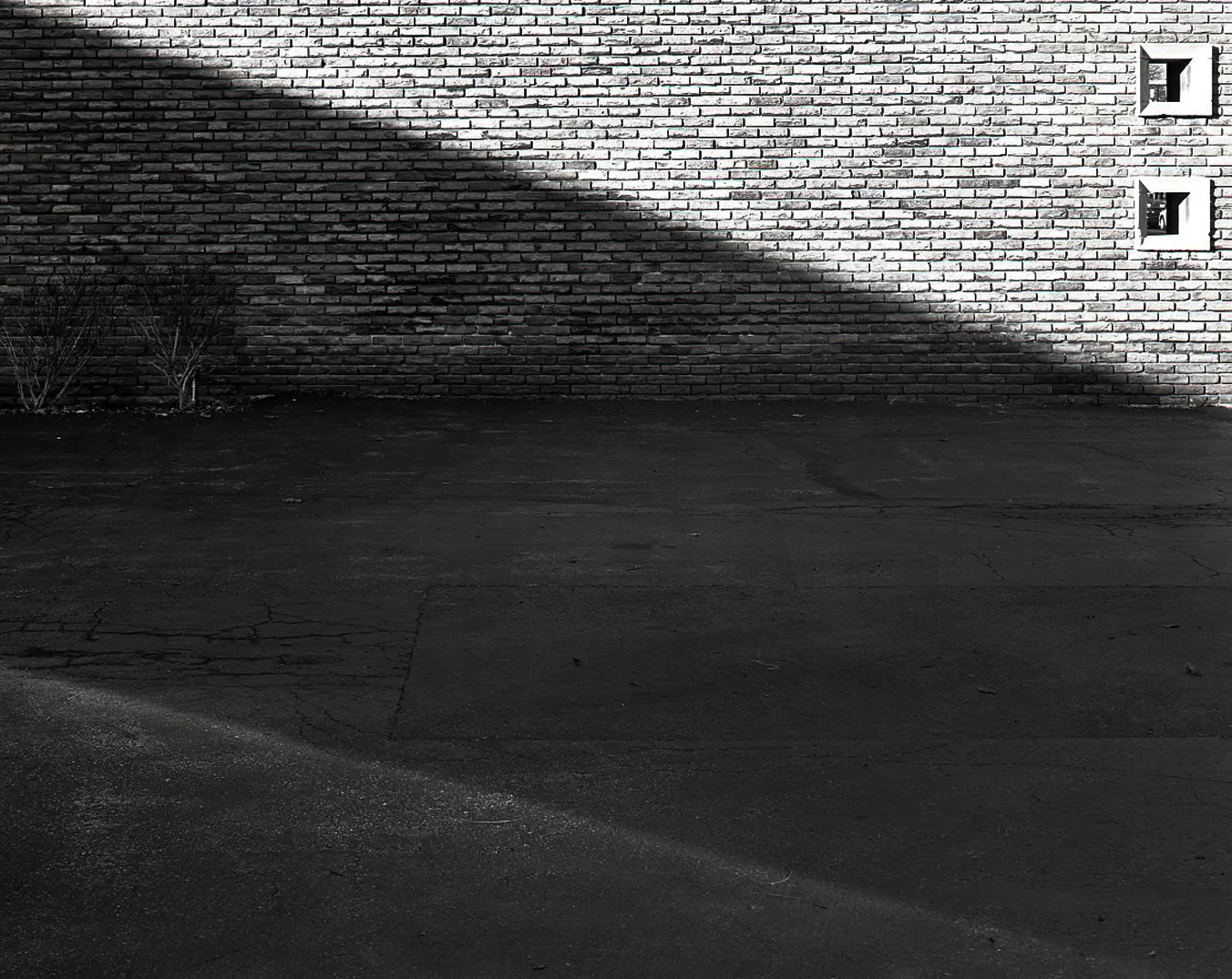 Diagonal Shadows and Windows > Oak Park, IL 2009