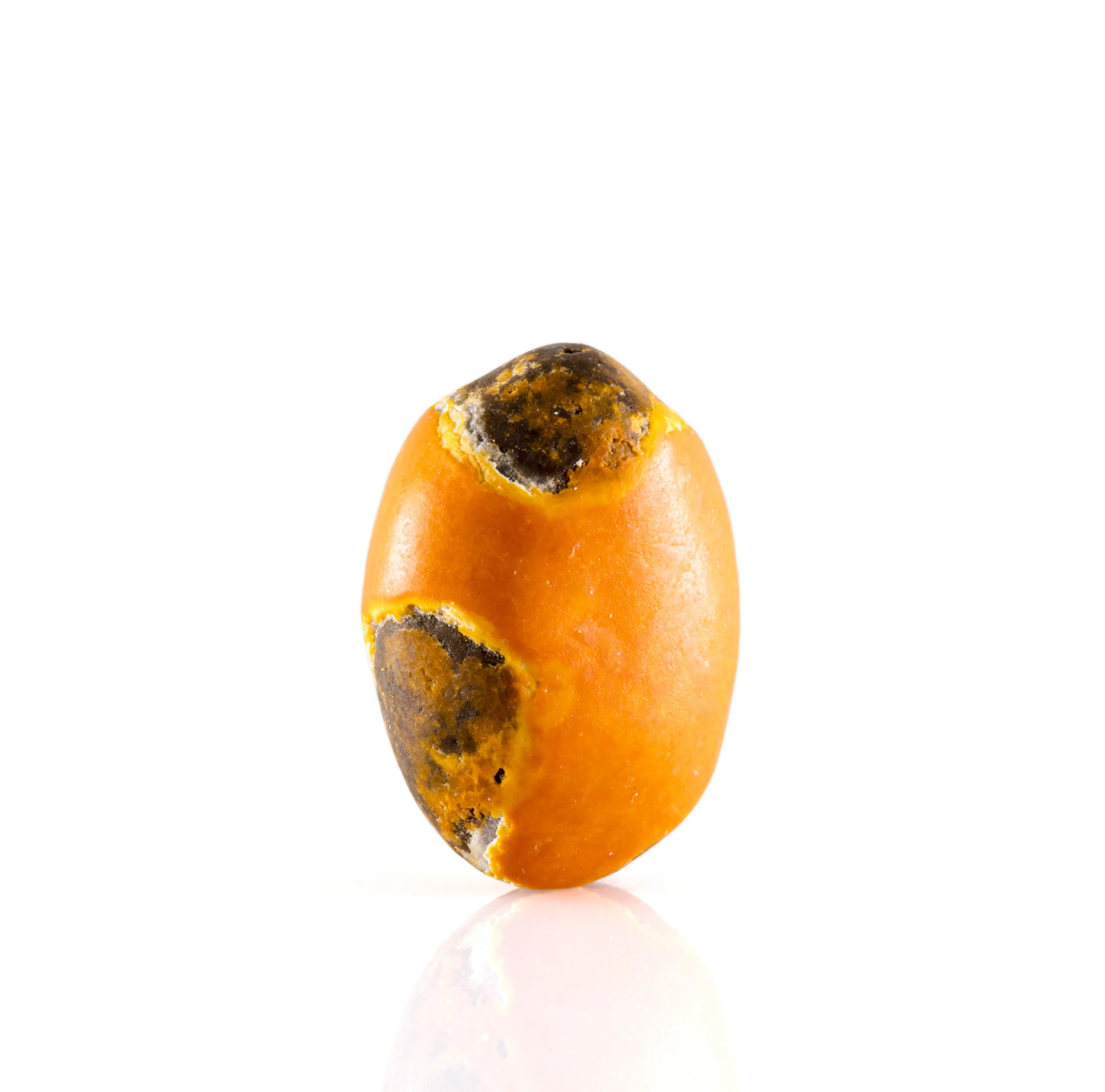 _03_M&M_Orange_IMG_0001_2_2500PX.jpg