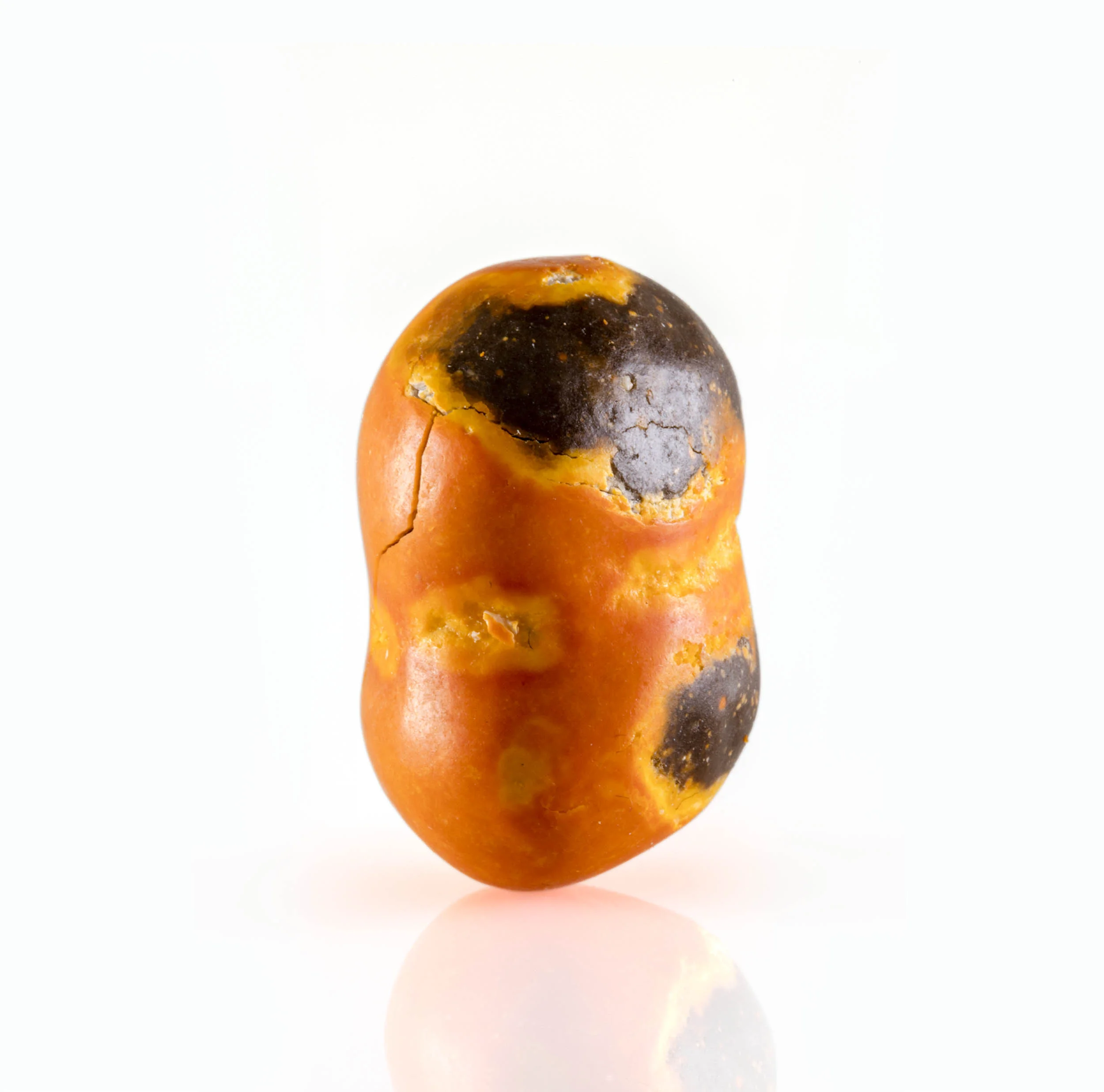 12_M&M_Orange_A_IMG_0071_2500PX.jpg