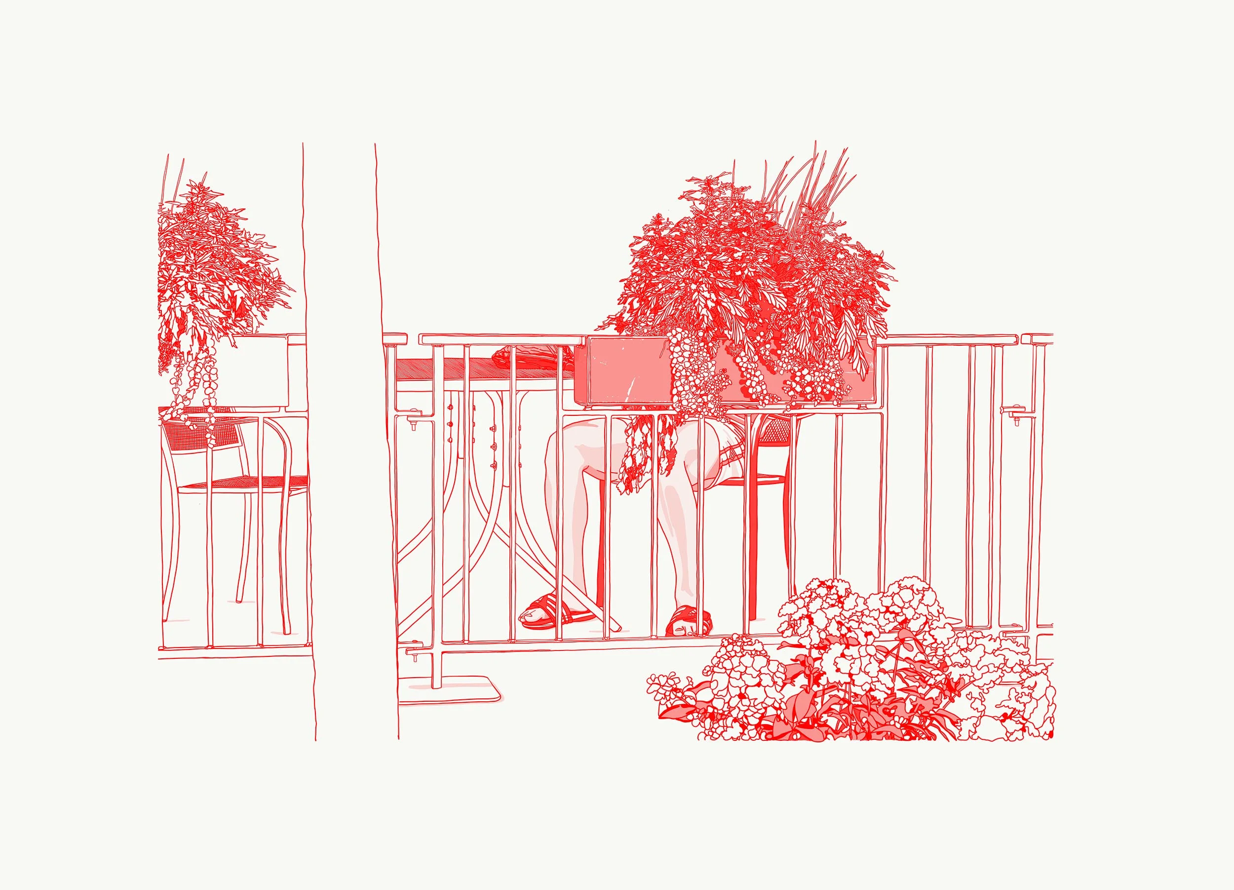 Patio Privacy_10.jpg