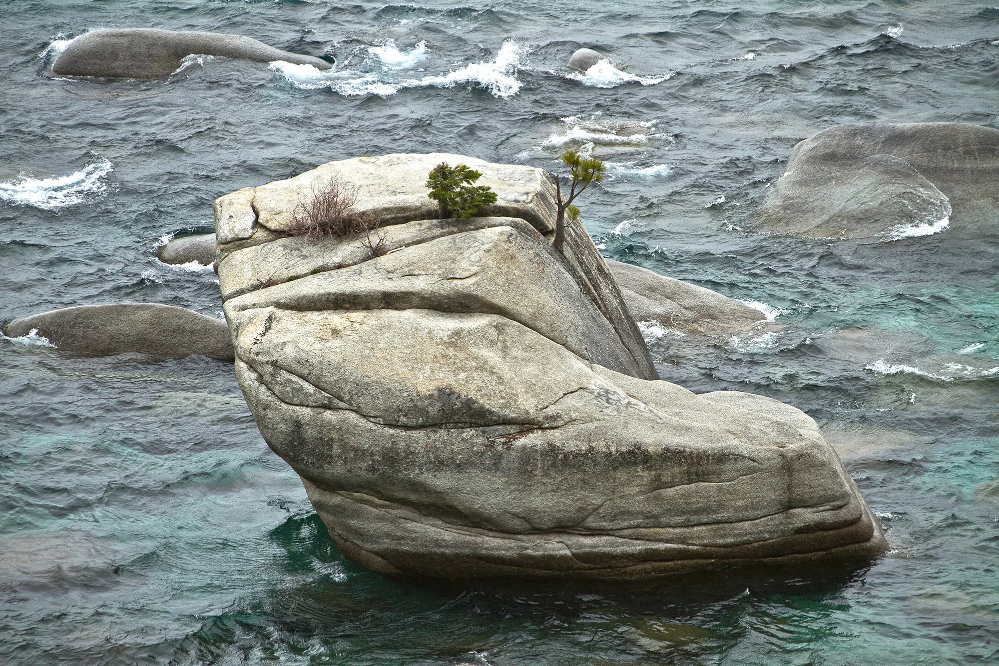 Bonsai Rock, Lake Tahoe (2014)