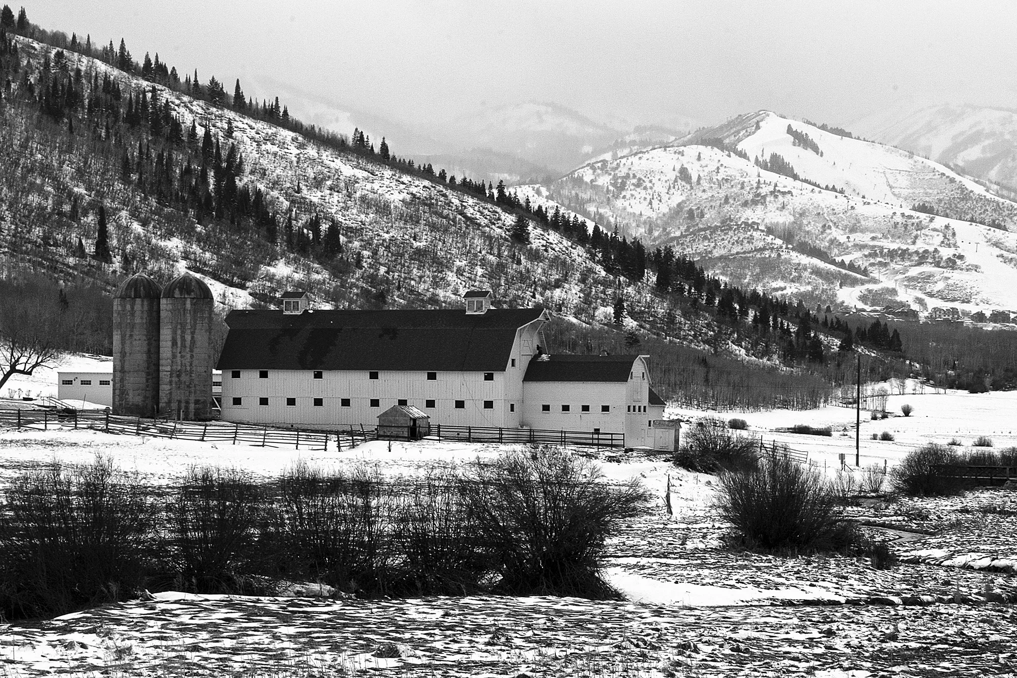 McPolin Farm, Utah (2009)