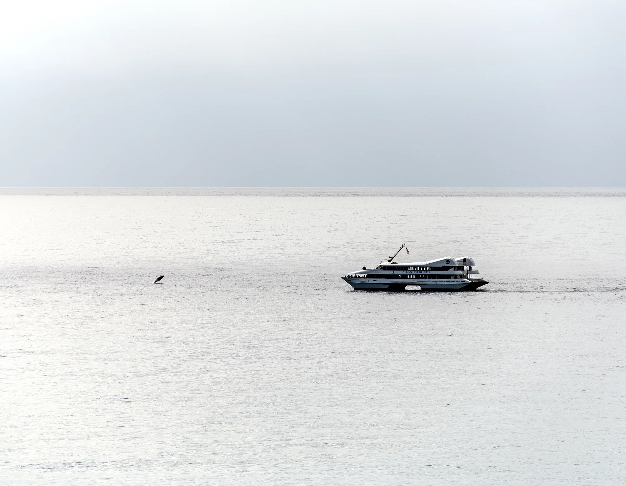 The Whale and the Boat (2015)