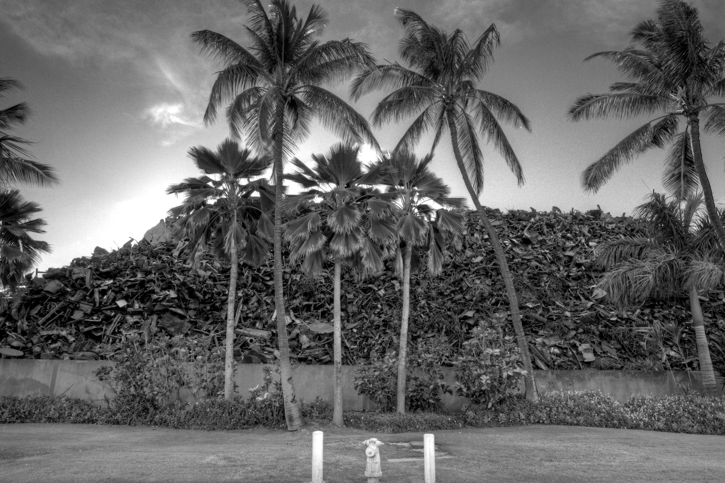 Scrap Heap and Palms, Kalaeloa (2011)