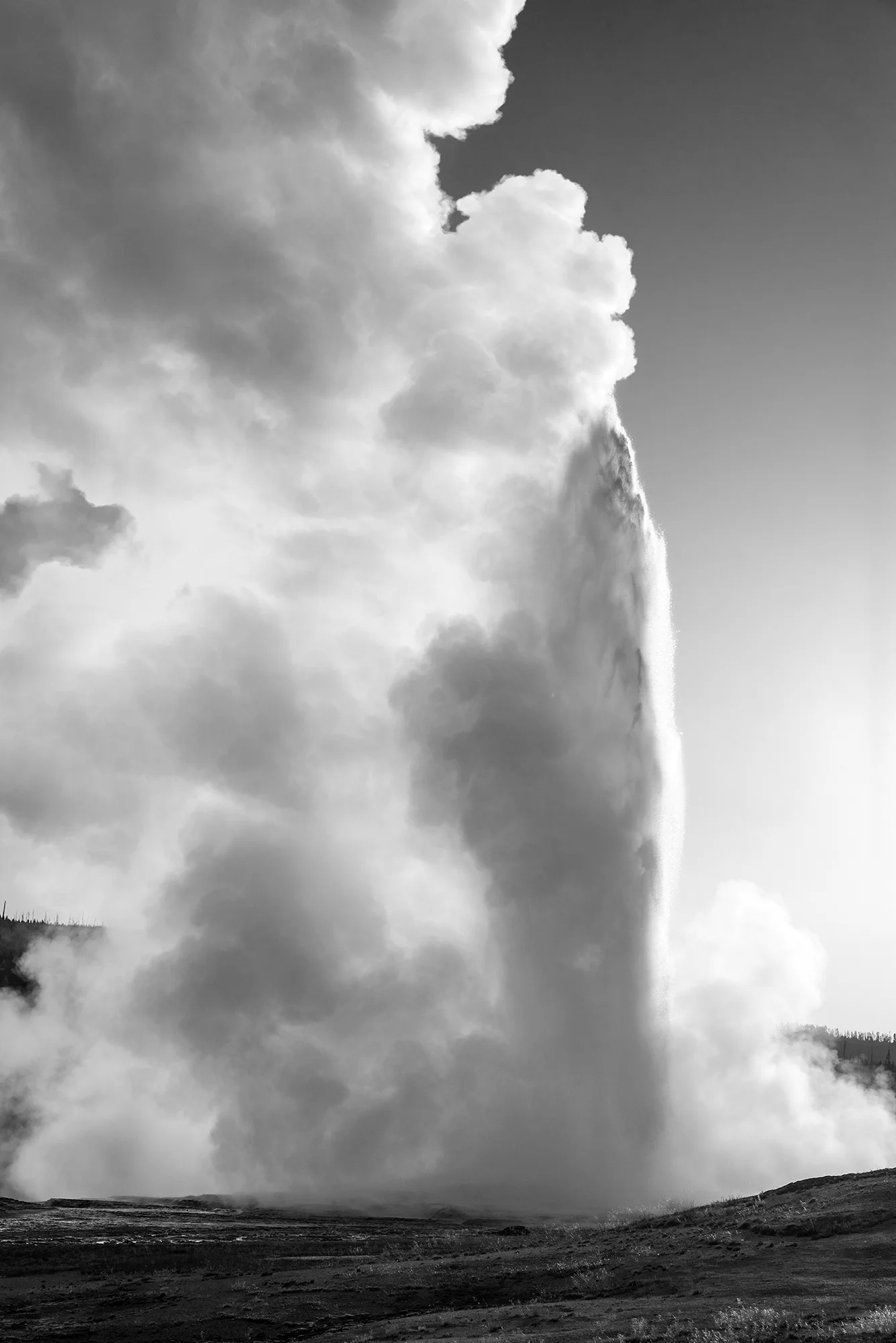 Old Faithful at Dawn (2016)