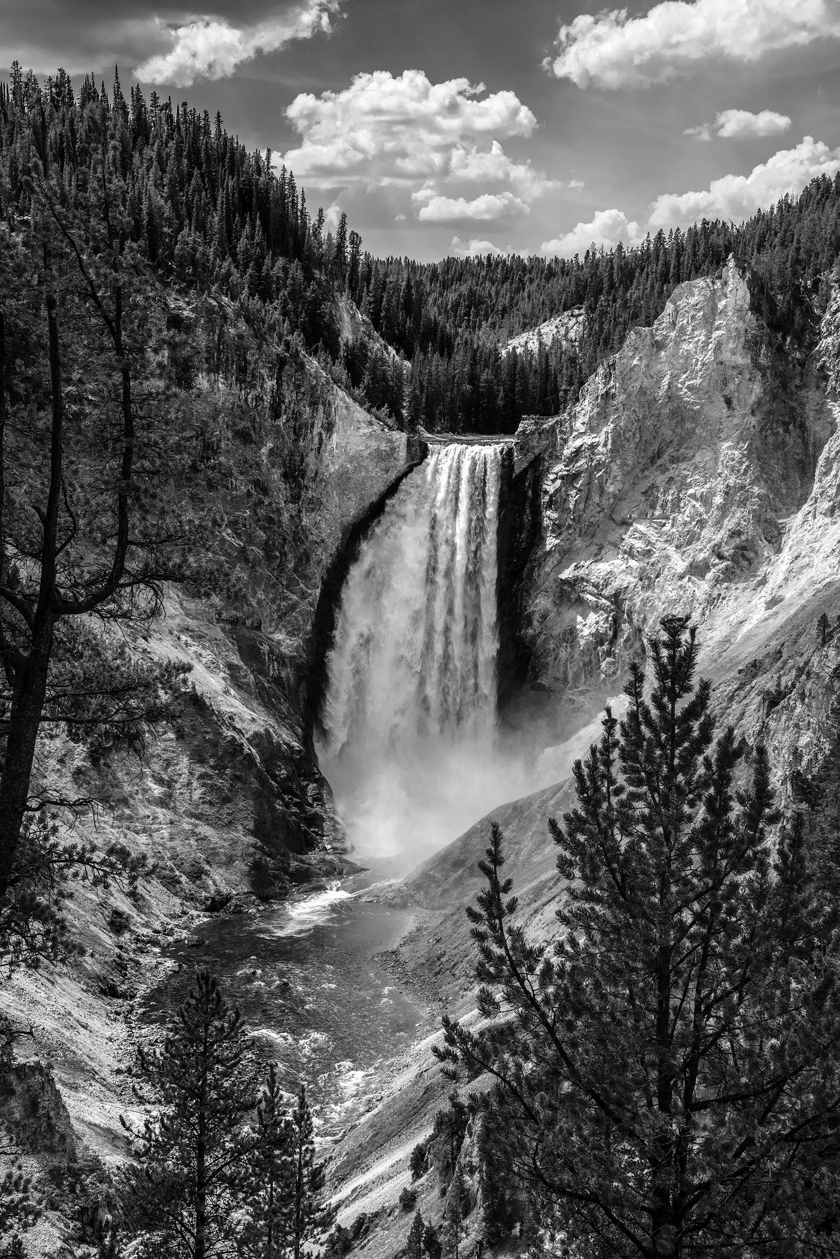 Lower Falls, Yellowstone National Park (2016)