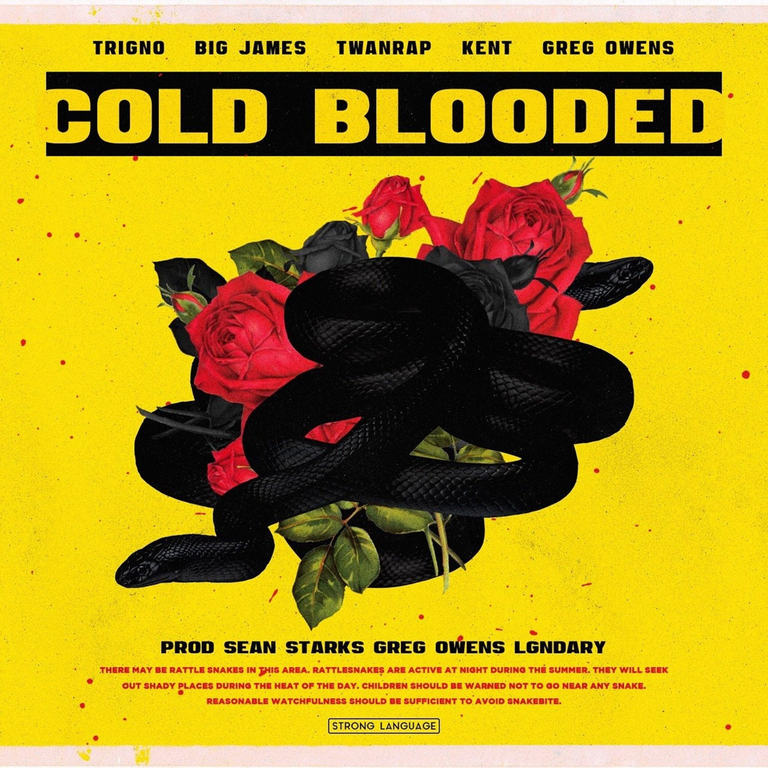 Stream "Cold Blooded"