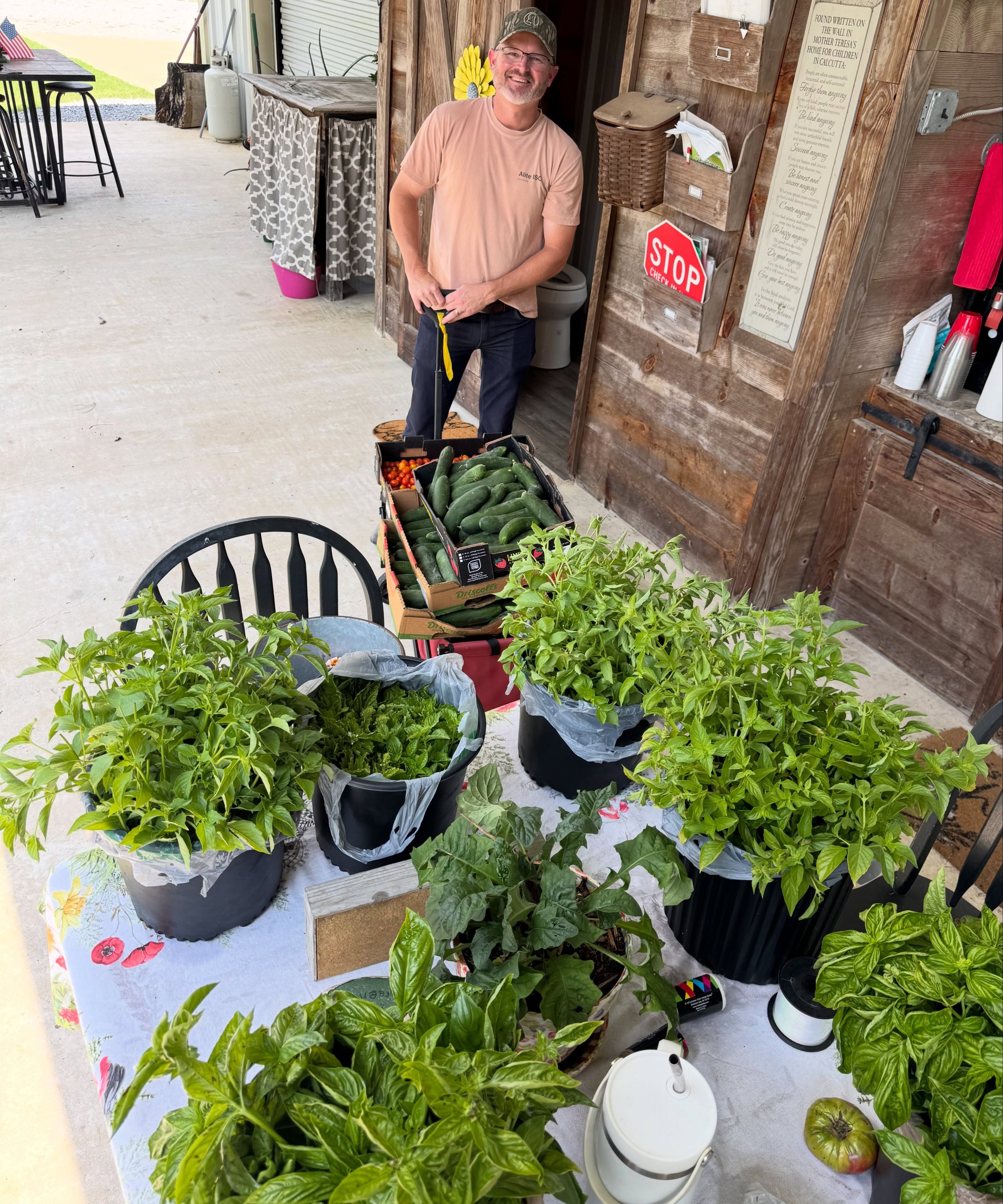 Ohhhhh just a lil&rsquo; produce run for our BIG weekend!! 🫠

✔️ 25 lbs zucchini
✔️ 50 lbs cucumbers
✔️ 10 lbs cherry tomatoes
✔️ 3 types of basil &mdash; lemon + thai + sweet 
✔️ BIG ol&rsquo; bundle of lemongrass 

ALL grown ~ with LOVE ~ from @ro