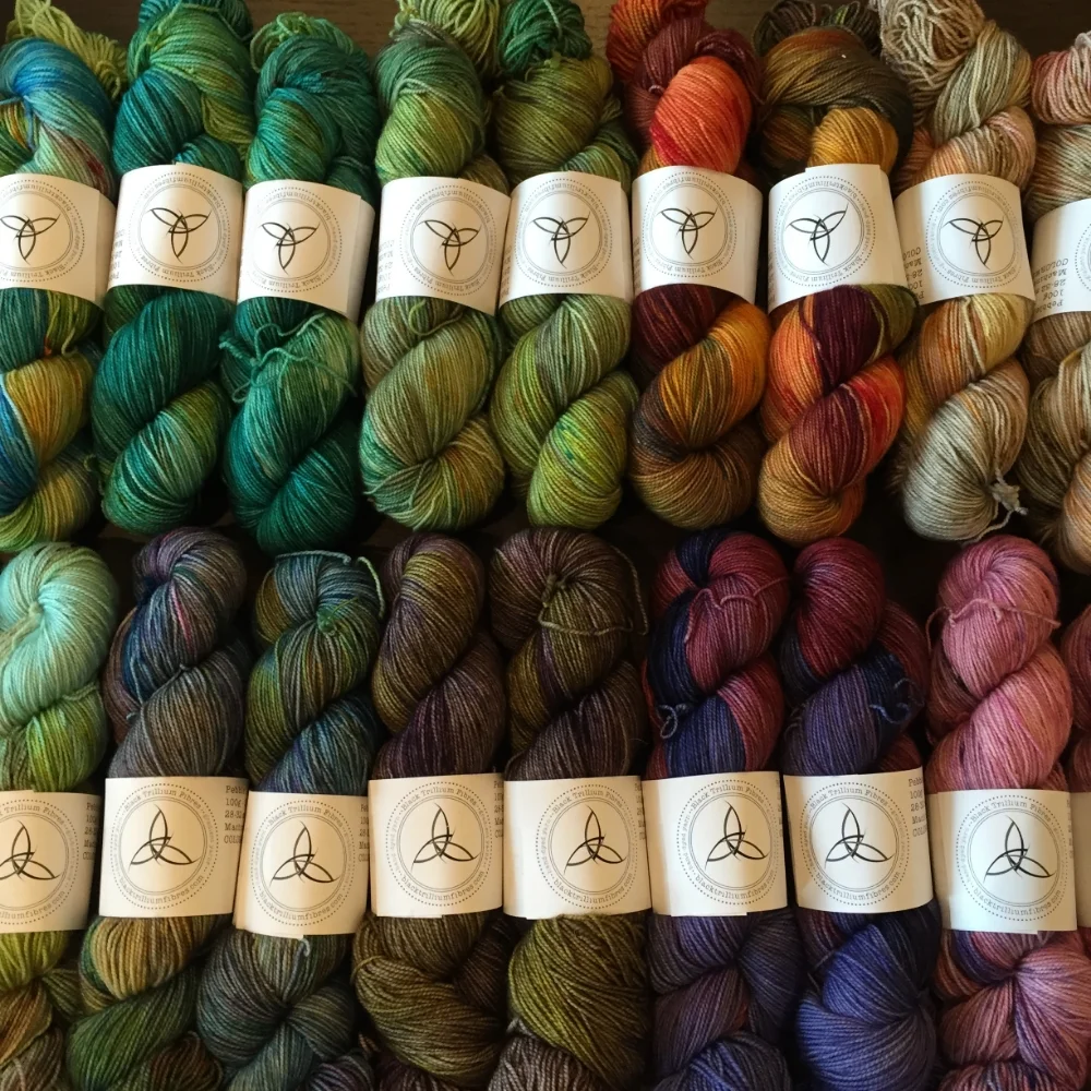  Pebble Sock in Experimental Colorways by Black Trillium Fibres
