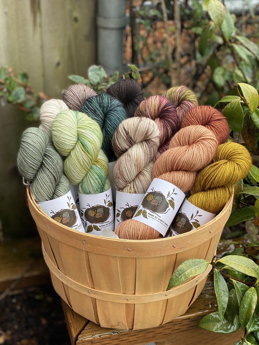 Paint Box Wools — Starlight Knitting Society