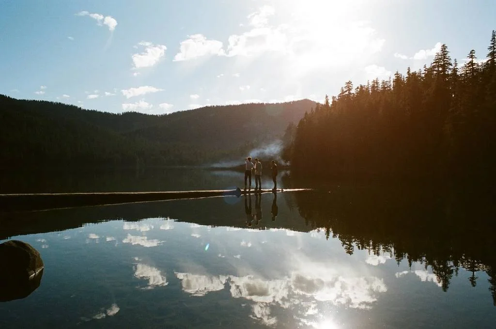 Whitney • "Follow (Acoustic)"