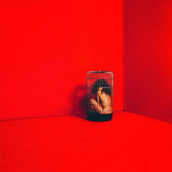 Eryn Allen Kane • Aviary: Act I