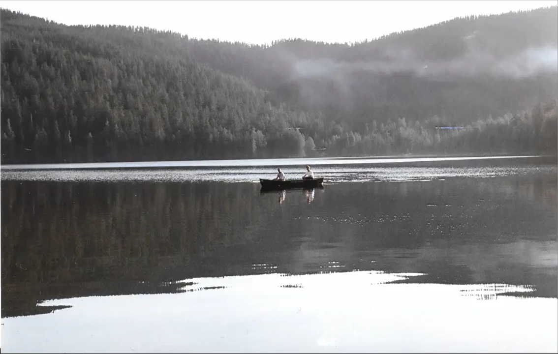 Whitney • "Southern Nights"