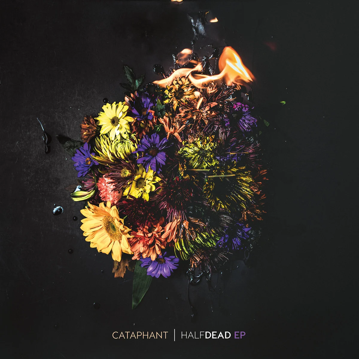 Cataphant • Half Dead EP
