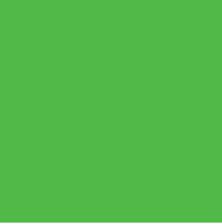 Bernie Levv • "Green Stuff"