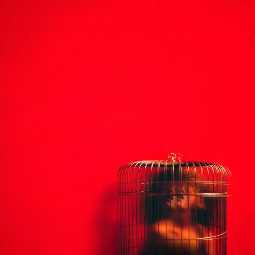 Eryn Allen Kane • Aviary: Act II