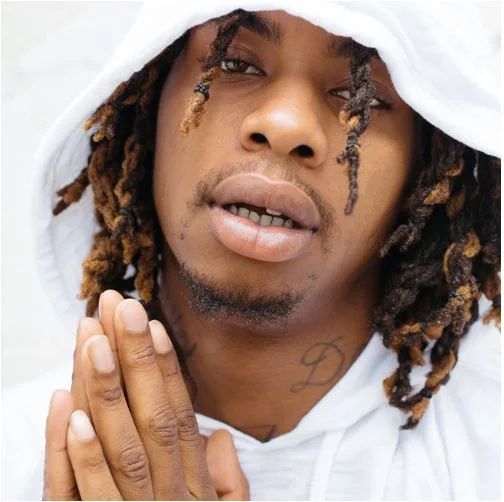 Mikey Dollaz • Picture Me Rollin