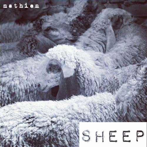 Mathien • "Sheep"