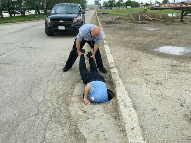 News RoundUp • Chicago Police Rescue Ducks, Not People, Eryn Allen Kane Announces Tour & More