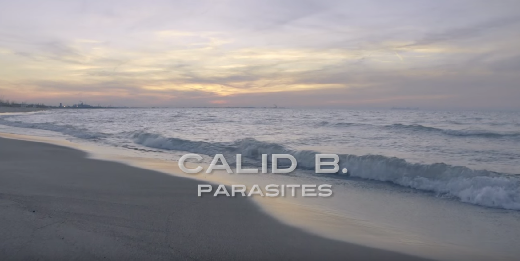 Calid B. • "Parasites"