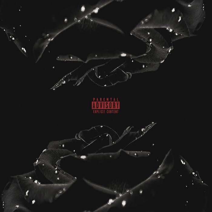 Premiere • Reggie Bonds (Ft. Supa Bwe): "Proceed w/ Love (Fuck Hate)"