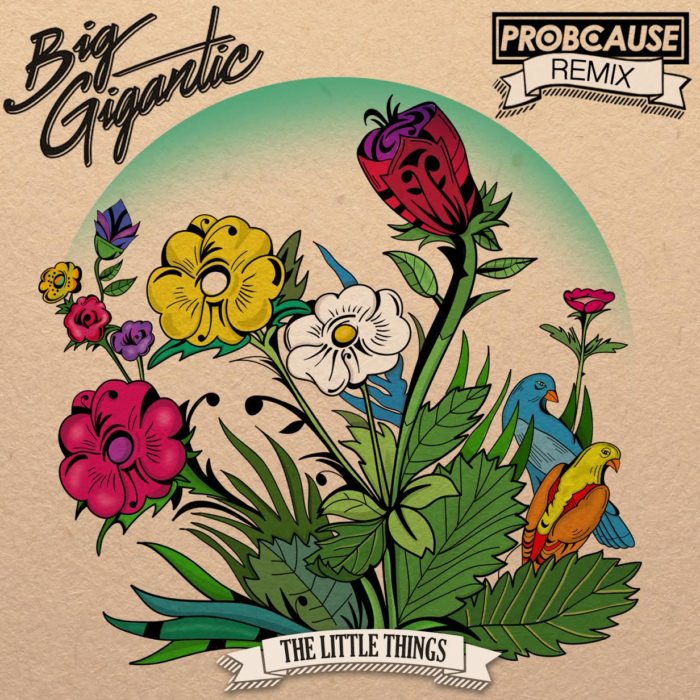 ProbCause • "Little Things" (Remix)