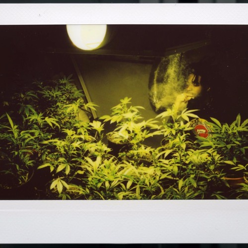 Qari • "love is going to find u"