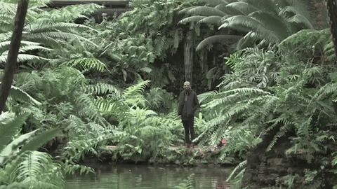 Premiere • Grill Billyenz: "Cush"