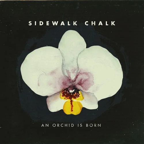 Sidewalk Chalk • "An Orchid Is Born"