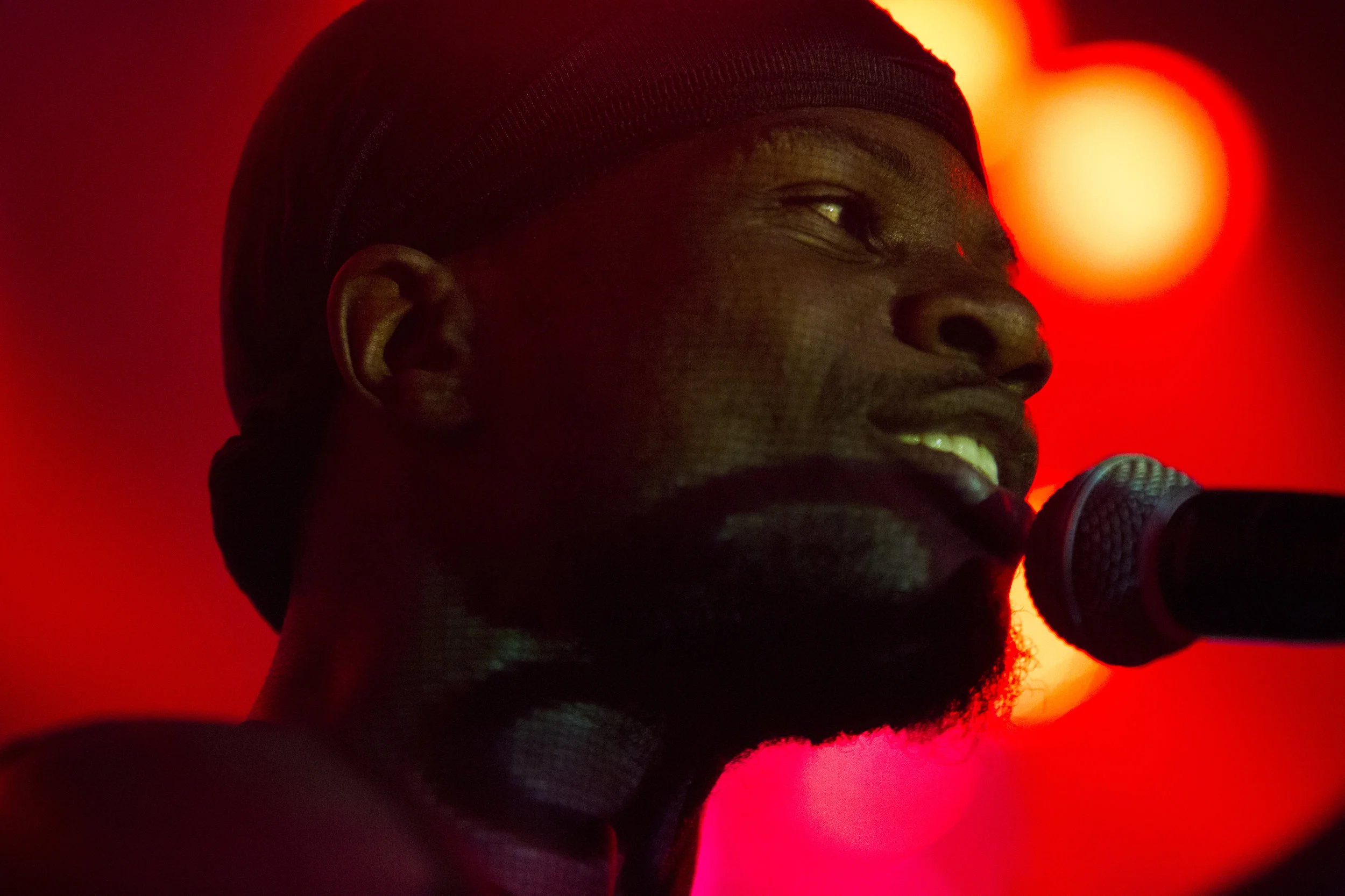 femdot2.jpg