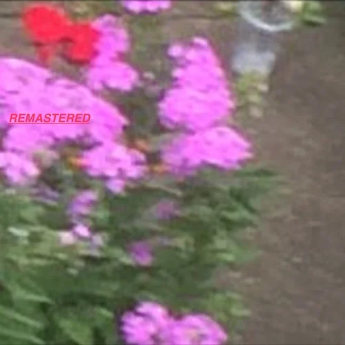 Sen Morimoto • "Shouldn't Live or Remember a Day"