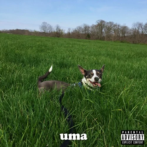 Cory Grindberg • Uma