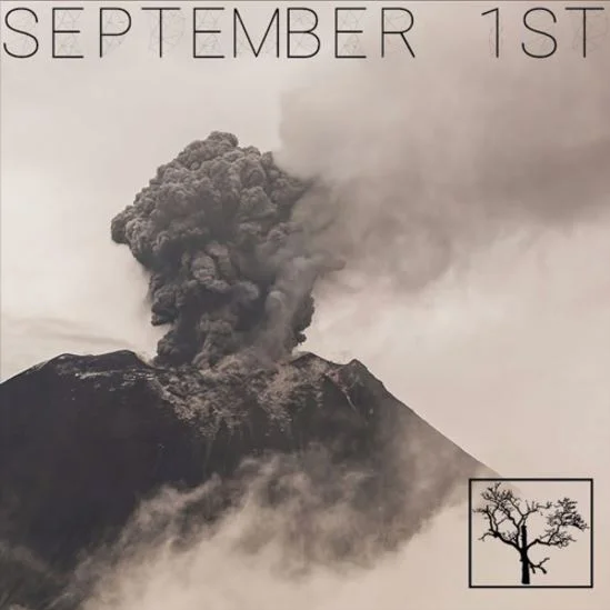 The Flashbulb • "Gray Pill"