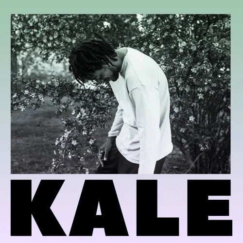 Joseph Chilliams (Ft. Noname & Supa Bwe) • "Kale"