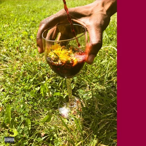 Nams Homeless •​ "Dandelion Wine"