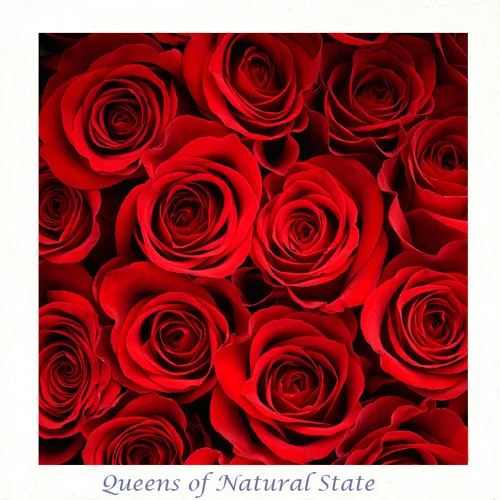 HarmonicSapien • Queens of Natural State