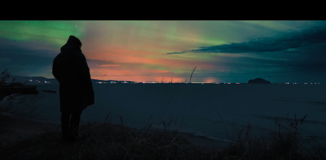 Suburban Kid McFly • "Daylight"