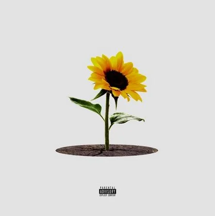 IshDARR • "FANGS"