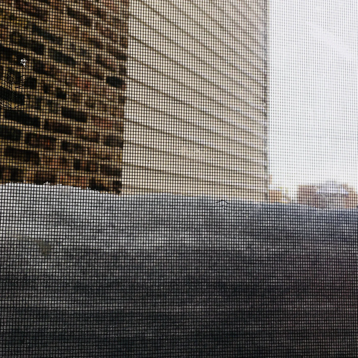 Rich Jones • "1st Snowfall (Demo)"