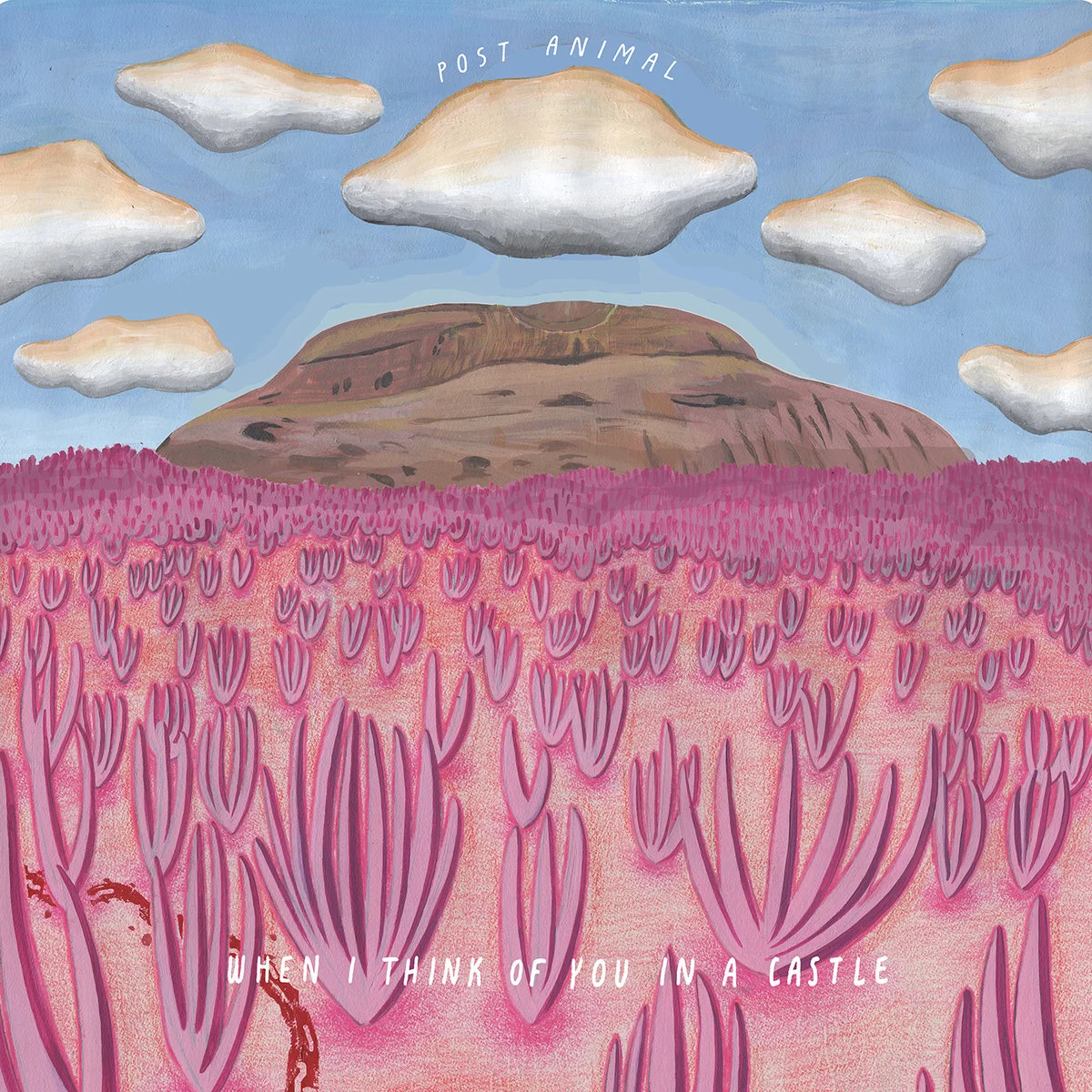 Post Animal • "When I Think Of You In A Castle"