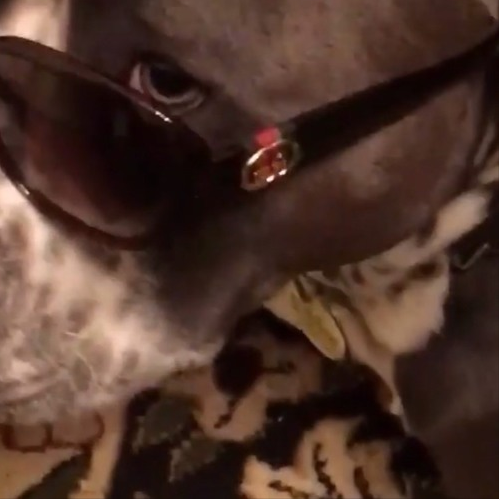 Jose Franco • "DBLOCKBLU FREESTYLE"