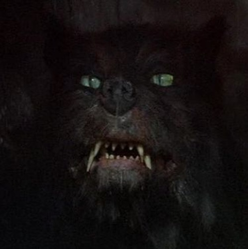 D. Graves • The Nothing