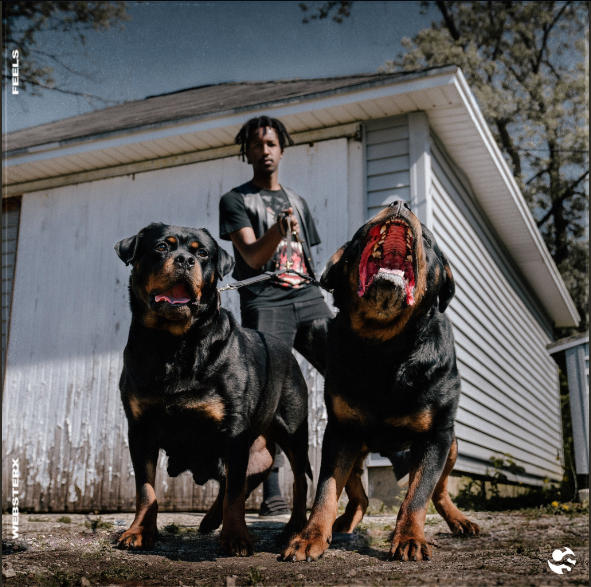 WebsterX • "Feels"