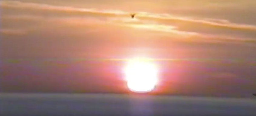 NANCY AMORE • "Tony"