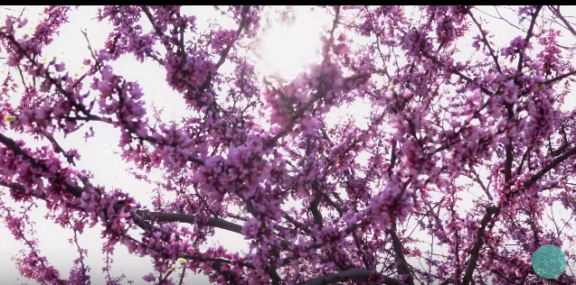 Sen Morimoto • "People Watching"